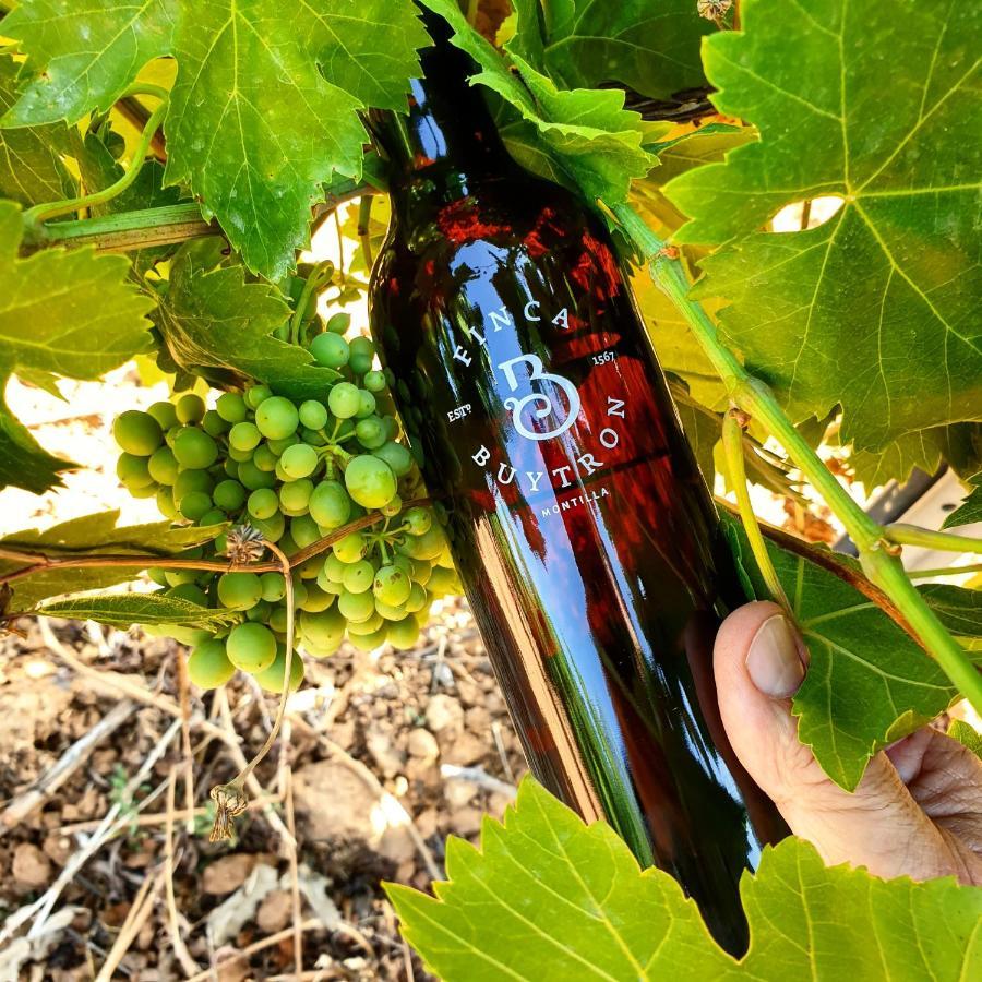 Bodega Boutique Finca Buytron Montilla Εξωτερικό φωτογραφία